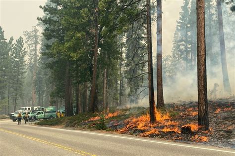 Yosemite Fire Caused By Human Activities Officials