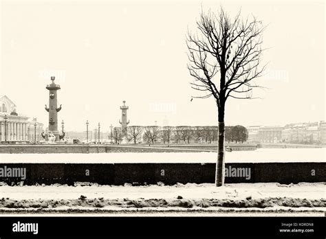 Landmark In St Petersburg Russia View From The Palace Embankment On