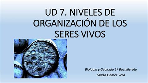 Niveles de organización de los seres vivos y sus componentes químicos PPT