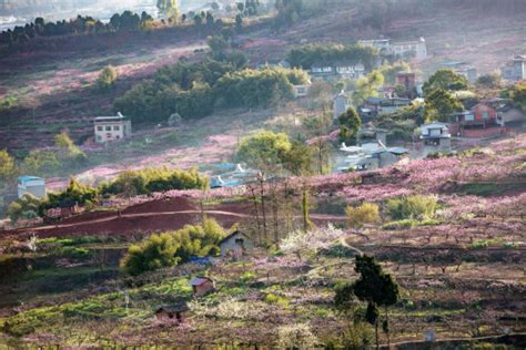 祝贺！龙泉驿区3个单位入选成都市第二批近零碳排放区试点创建名单