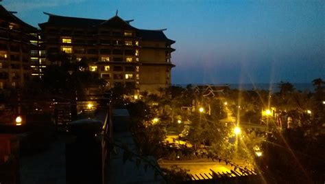 Surprise? – Adventures of a Wandering Flower