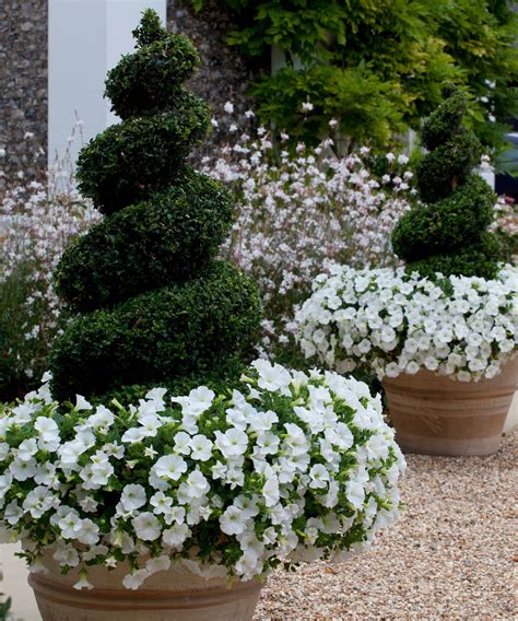 Topiary: 15 ways to use clipped evergreens in gardens | Homes & Gardens