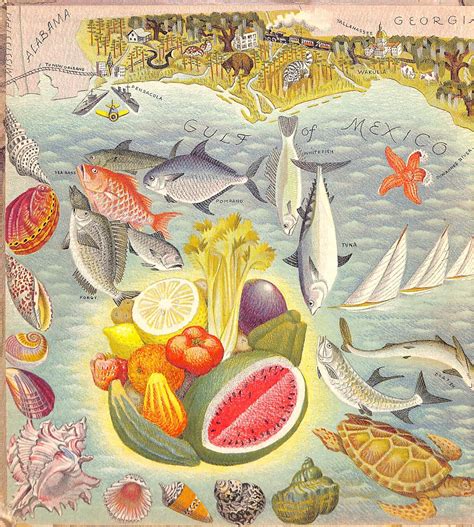 The Story Of Florida by MCNEER, May [text by]: Very Good Hardcover