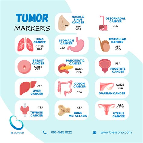 Tumour Markers For Brain Cancer At John Laplante Blog