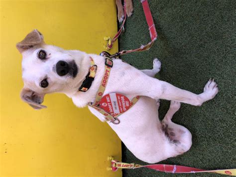 The Untold Connection Between Gigi Hadid and Joe Jonas alcase.org