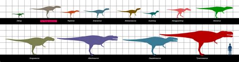 Tyrannosauroidea Alchetron The Free Social Encyclopedia