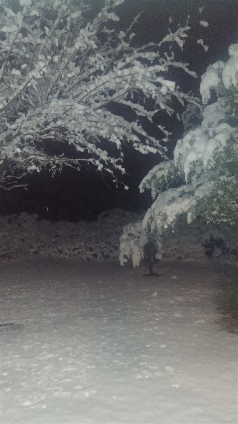 Full limit of weather in Ensenada | Bloodydecks