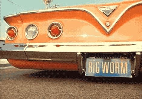 Caddy Bouncing GIF - Find & Share on GIPHY