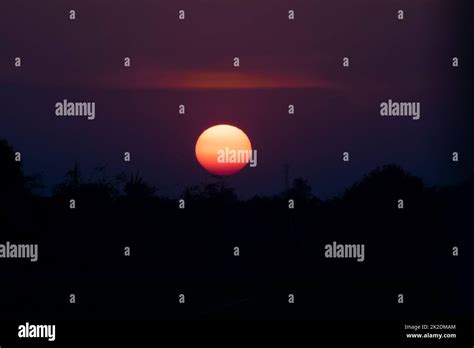 tree silhouette  orange sun  res stock photography  images alamy