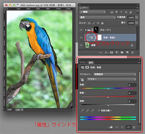Photoshop 色調補正ゼミナール : 色域指定を使って選択範囲を作る - ライブドアニュース