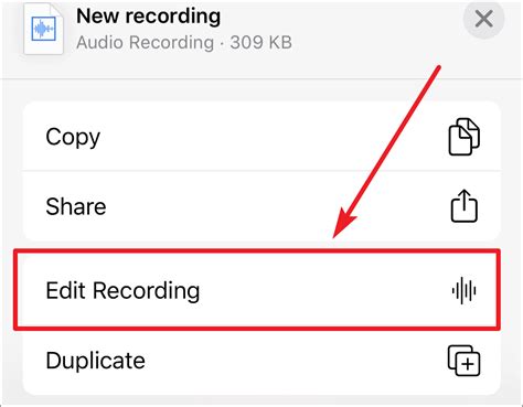 How To Edit Recordings In Voice Memos On IPhone