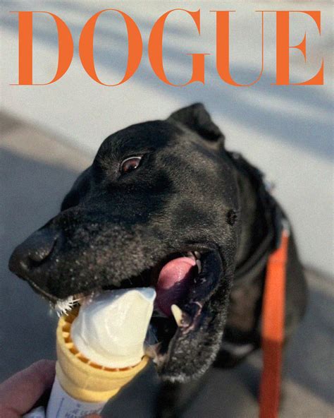 The Dogue Days of Summer | Vogue