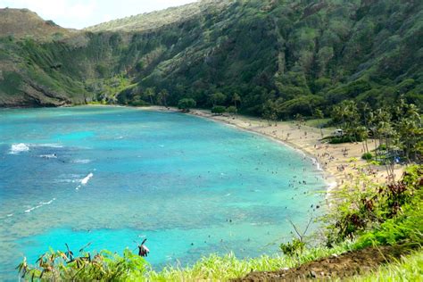 Hanauma Bay Nature Preserve Information Photos And More Oahu Hawaii