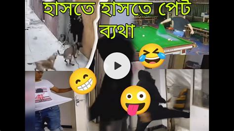 Funny Videos চাইনিজ কিছু মজাদার ভিডিও যা খুব বিনোদন হাসতে হাসতে পেট ব্যাথা হয়ে যাবে Youtube