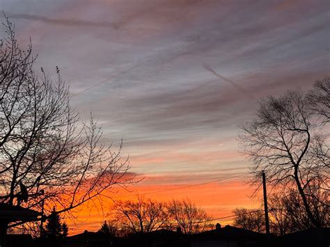 cathy white what happened 1