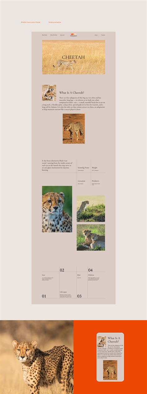 African Wildlife Foundation :: Behance