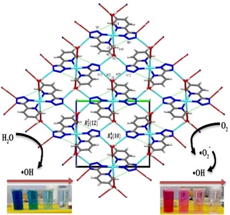 Synthesis And Structure Of 3D Bis 5 2pyridyl Tetrazolato Diquacopper