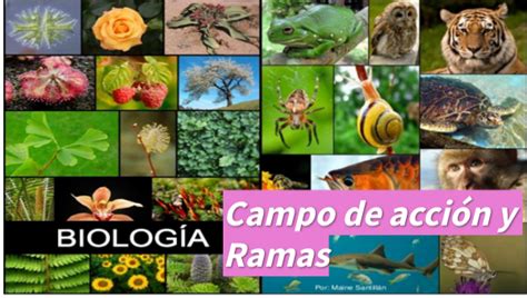 Campo de acción de la Biología y sus ramas