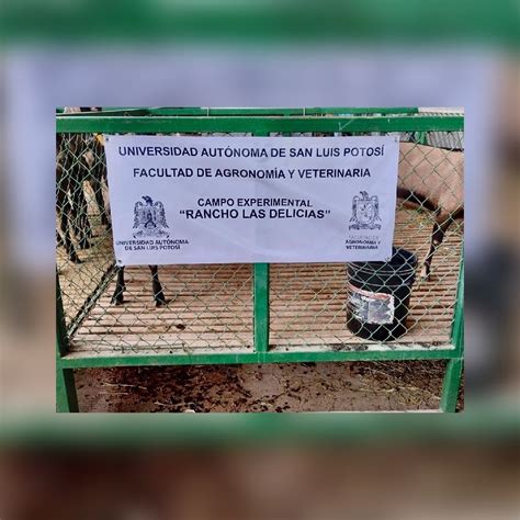 Crece la oferta de producción pecuaria de la Facultad de Agronomía de