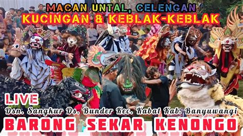 Macan Untal Celengan Kucingan Keblak Keblak Barong Sekar Kenongo Live