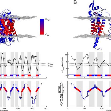 Pdf Prediction Of Membrane Protein Topology From First Principles