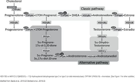 Scielo Brasil Classic And Current Concepts In Adrenal