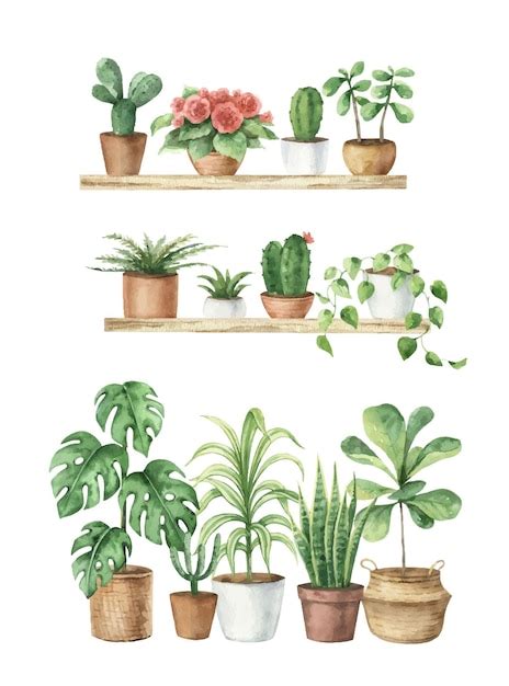 Premium Vector | Watercolor aesthetic room decor and indoor plants