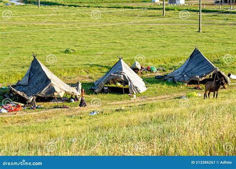 Gypsy Camp In Dorobantu Romania Editorial Photography Image Of