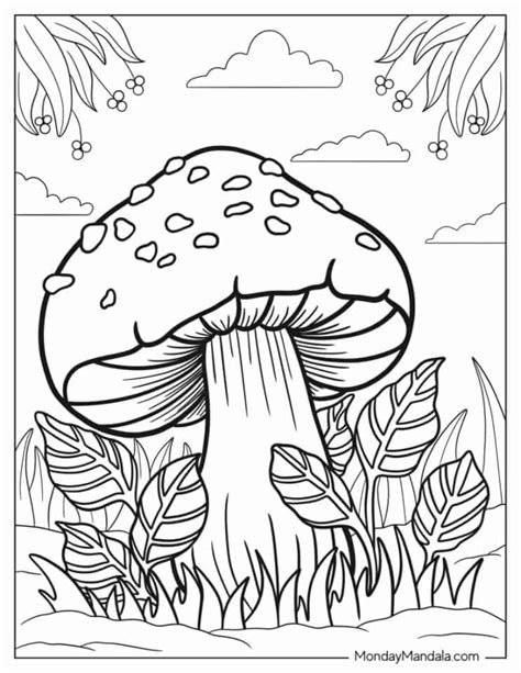 38 Mushroom Coloring Pages Free Pdf Printables