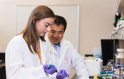 Undergraduate Research | Department of Physics