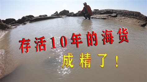 2个猪肺投天眼坑，存活10年的海货成精了，还有名贵的剧毒猛货 Youtube