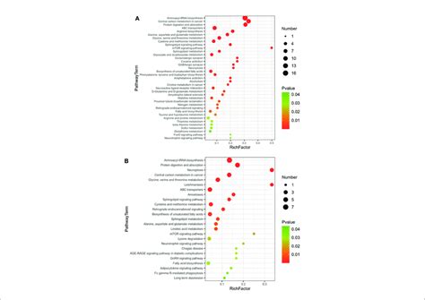 Kegg Enrichment Of Common Regulated Metabolites A Up Regulated