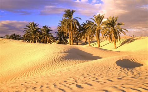 Tunisian desert - DotCave