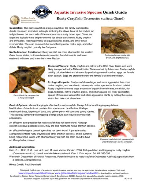 Aquatic Invasive Species Quick Guide Rusty Crayfish