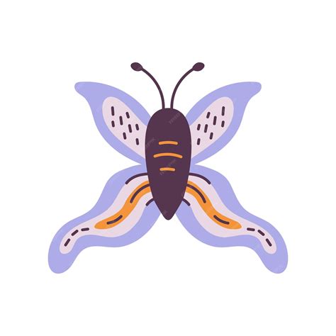 Premium Vector Hand Drawn Butterfly Vector Illustration