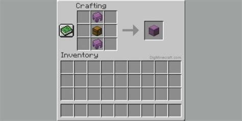 Unlocking The Marvels Of The Minecraft Shulker Box