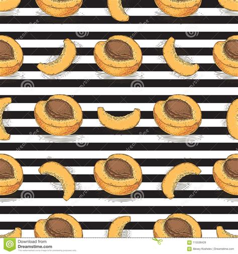 Striped Seamless Pattern With Ripe Apricot Stock Vector Illustration