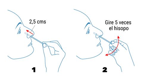 Resumen De 27 Artículos Como Hacer El Test De Antigenos Actualizado