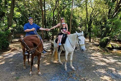 Tripadvisor Reiten Faultierschutzgebiet Strandresort In West Bay