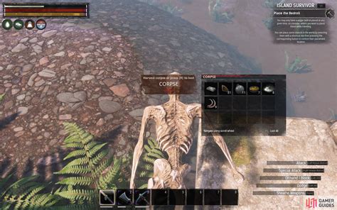 Weathered Skull Conan Exiles Database Gamer Guides