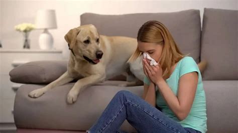 40 Can Humans Transmit Kennel Cough To Dogs Home