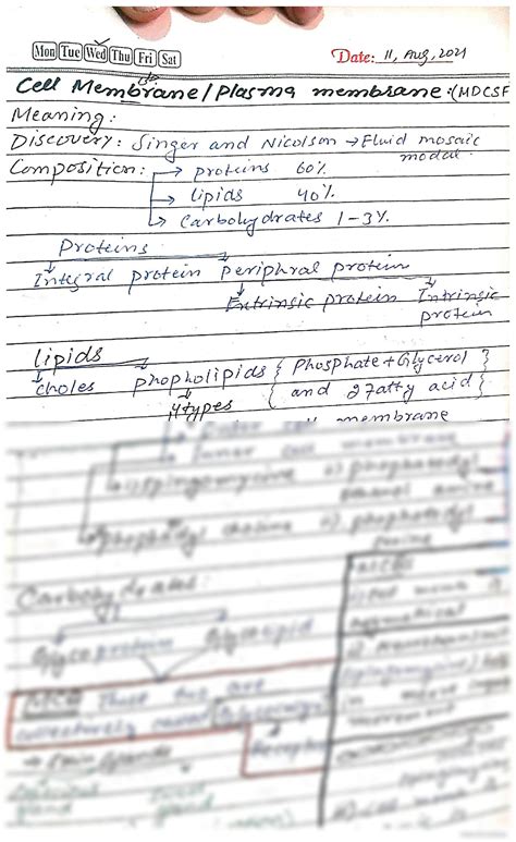 Solution Biological Explanation Concerned With Basic Cell Structure