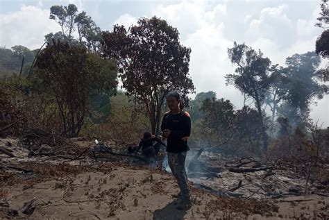 Jalur Pendakian Gunung Slamet Via Guci Tegal Kebakaran Api Sudah