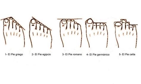 5 tipos de pies cuál es el tuyo Pedicure de pies Pies de ballet Pies