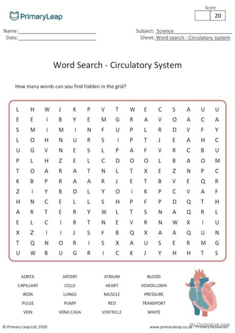 7 Circulatory System English ESL Worksheets Pdf Doc