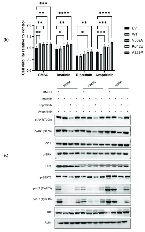 ligand independent activations  target drug sensitivities  mutant