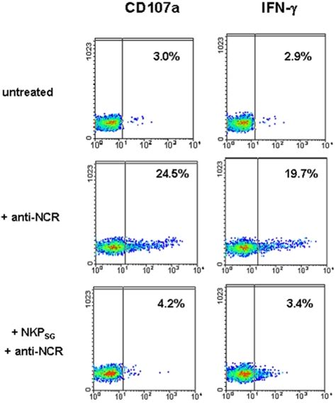 Dot Plot Analysis Shows Cd107a And Ifnγ Surface Expression In Download Scientific Diagram