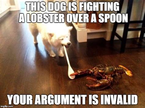 Lobster Dog Spoon Fight Imgflip