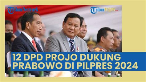 12 Dpd Projo Dukung Prabowo Di Pilpres 2024 Pilih Gibran Dan Airlangga