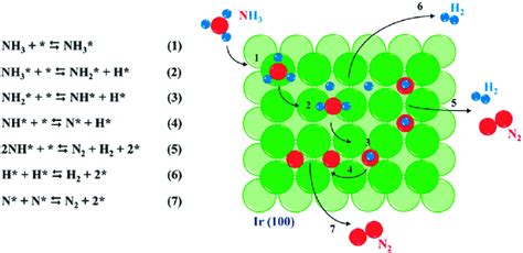 Schematic Representation Of Mechanism Of Nh Decomposition Reaction